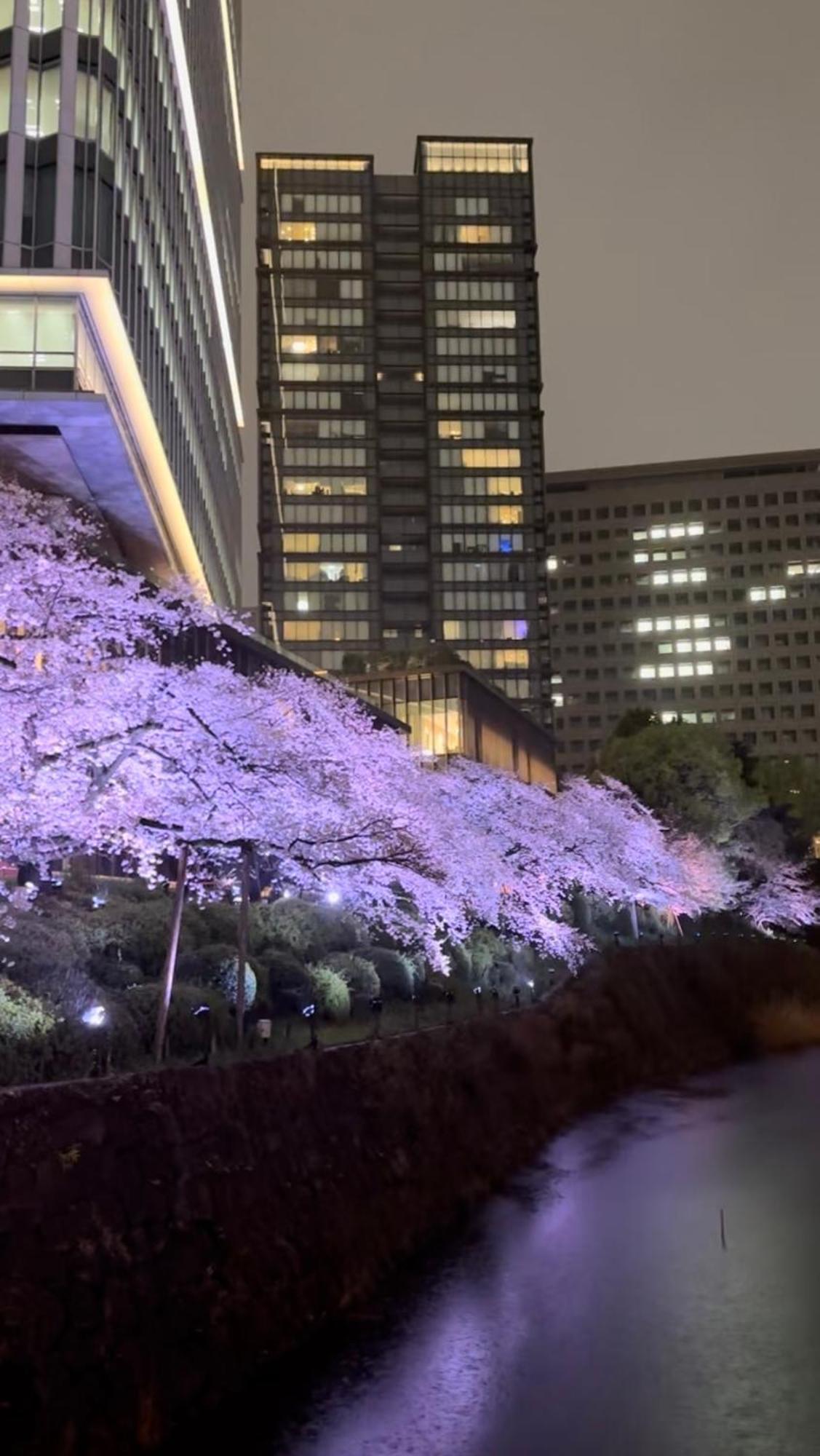 渋谷ライオンズマンション道玄坂七 Apartment Tokyo